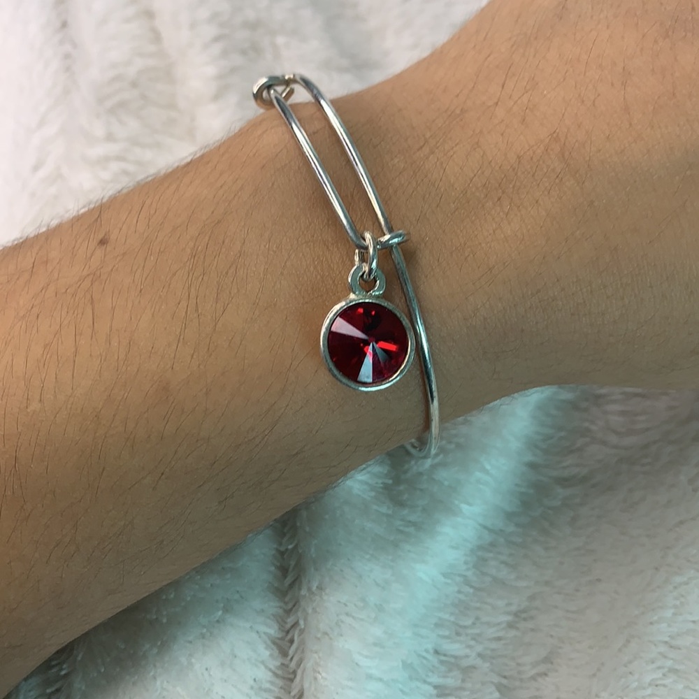 Alex and Ani January Bracelet